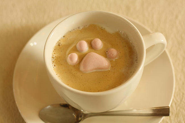 marshmallow-cat-japan (3)