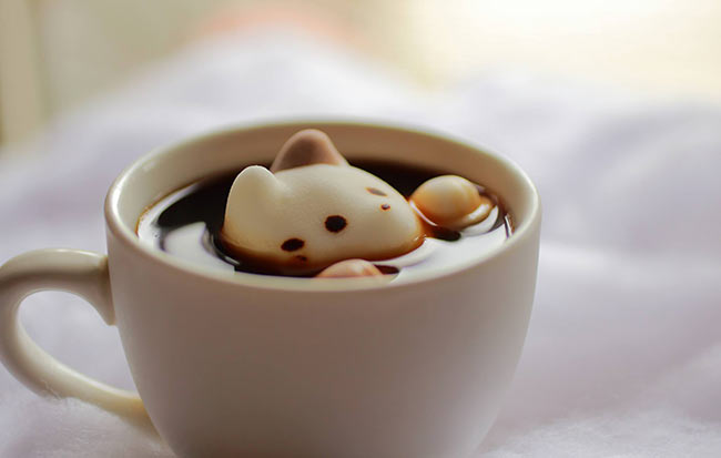 marshmallow-cat-japan (6)