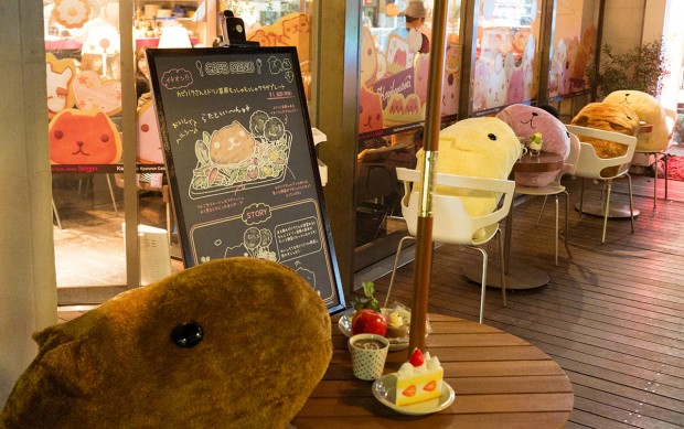 Capybara cafe japan (2)
