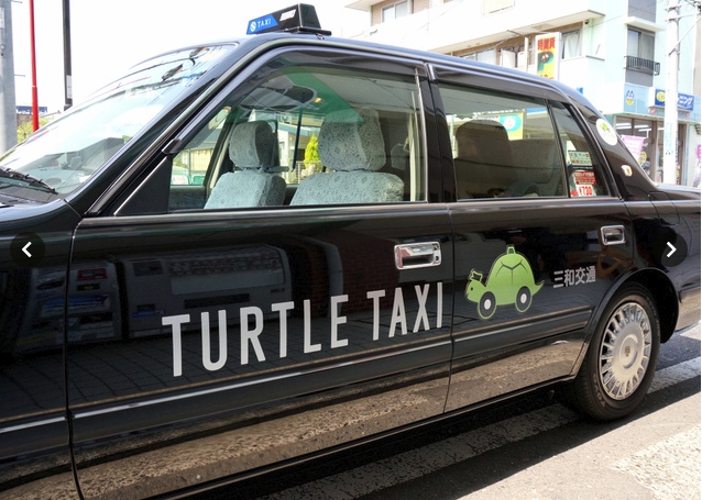 Turtle Taxi (1)
