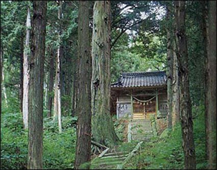 japan-ghost-place (4)