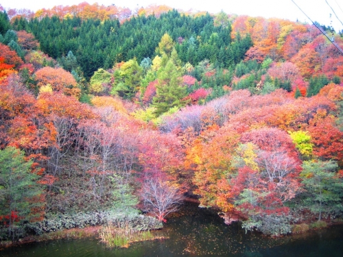 20 pemandangan super indah dari Hokkaido yang membuat kalian ingin pergi kesana