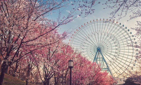 Koleksi Foto Pamerkan Keindahan Jepang Japanese Station