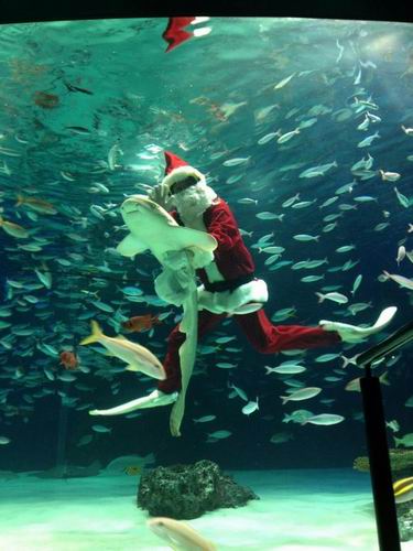 Underwater Santa menyapa para pelanggan akuarium di Tokyo