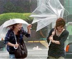 transparant umbrella (2)