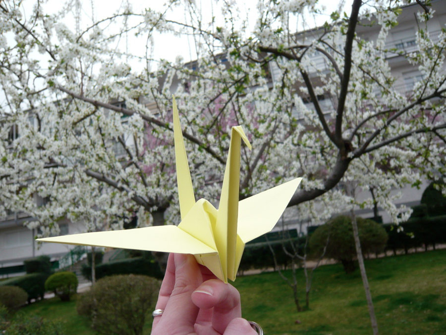 Asal Usul Legenda 1000 Bangau Dari Jepang Kisah Tentang Sadako