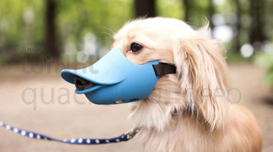 oppo-dog-muzzle-quack-closed-duck-bill-3