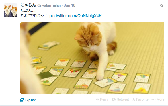 Inilah cerita dua kucing lucu dari Jepang yang bermain “Hyakunin Isshu”