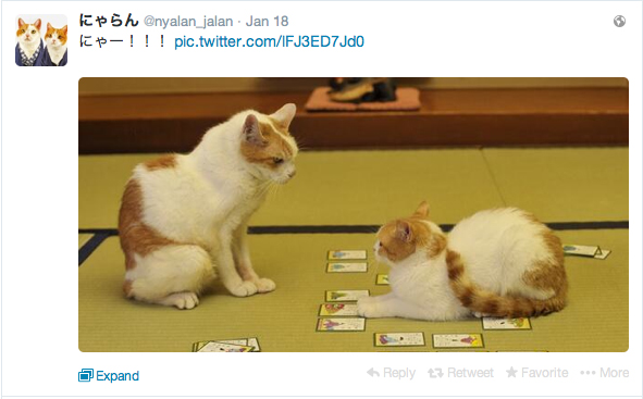 Inilah cerita dua kucing lucu dari Jepang yang bermain “Hyakunin Isshu”