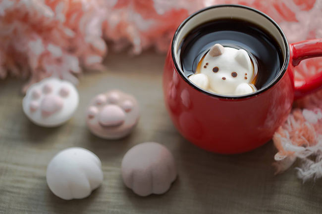 marshmallow-cat-japan (4)