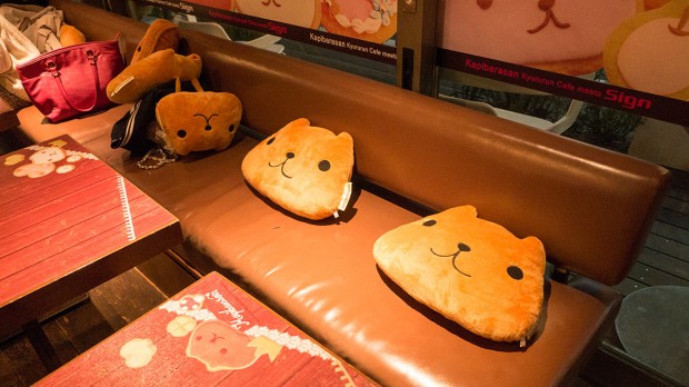 Capybara cafe japan (3)
