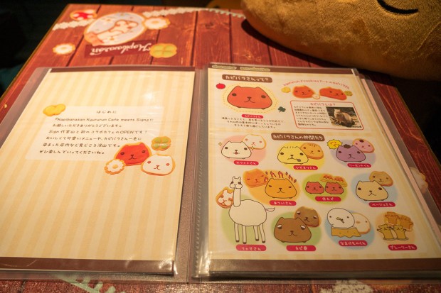 Inilah kafe bertema Kapibara-san yang imut dari Jepang