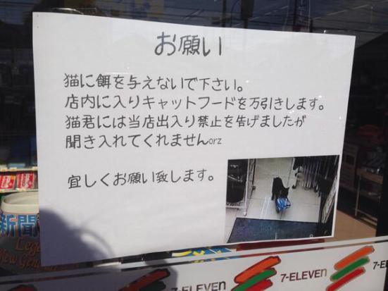 Seekor kucing menjadi buronan di Jepang karena sering mencuri makanan
