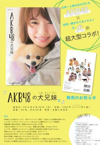 AKB48photobookdogs (1)