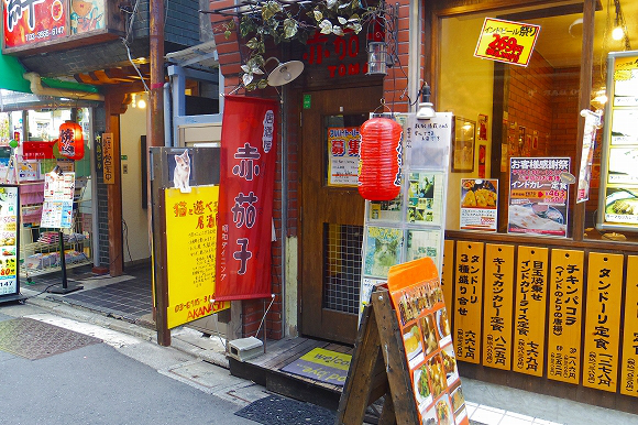 Akanasu cat cafe japan (1)