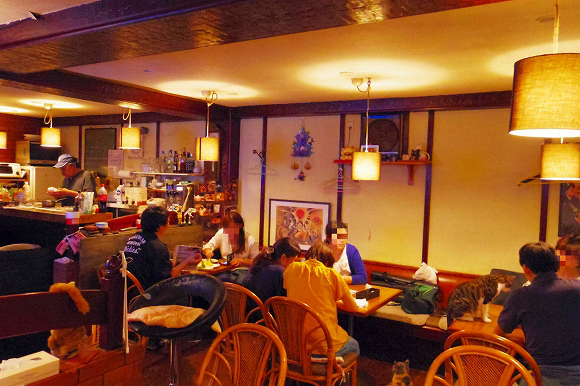Akanasu cat cafe japan (8)