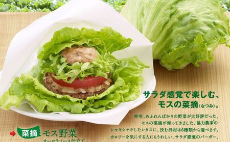 Walau Fast Food Jepang Seenak Ini Tapi Mereka Tetap Langsing