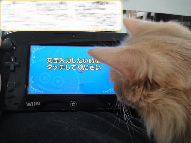 Inilah kucing-kucing dari Jepang yang sangat serius bermain video game