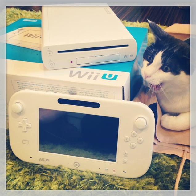 Inilah kucing-kucing dari Jepang yang sangat serius bermain video game