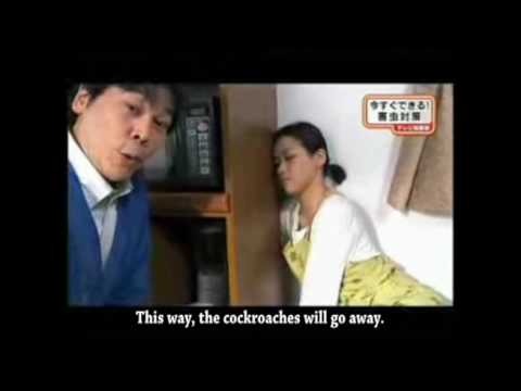 japan tv show subtitle