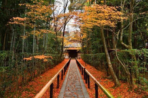 Inilah Berbagai Destinasi Wisata Terbaik di Kyoto, Jepang