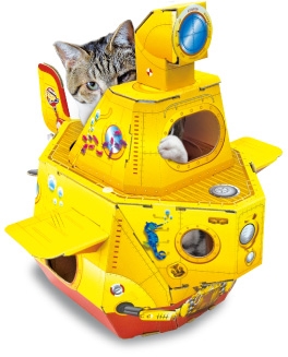 cat box (3)