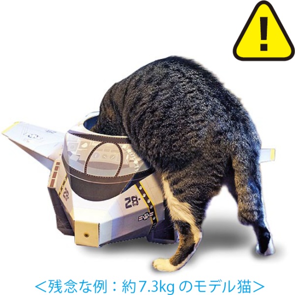 cat box (5)