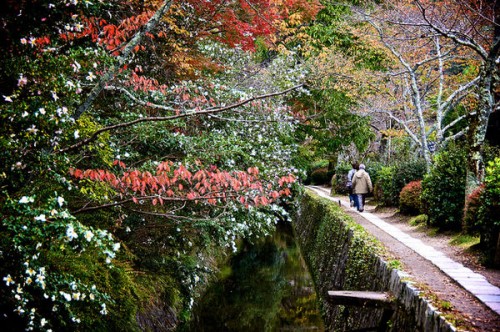 5f autumn-in-kyoto-best-660