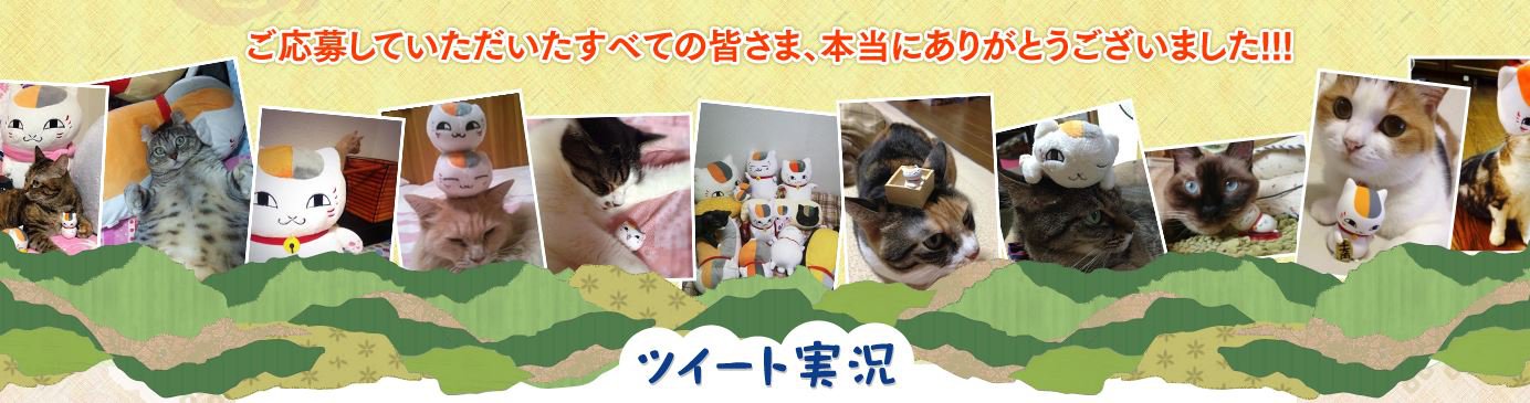 natsume cats (2)