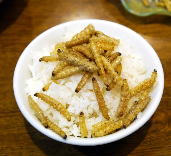 Wow! Restoran Di Jepang Ini Sajikan Ulat Goreng!