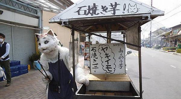 Di Jepang, Kucing Jual Ubi Bakar 