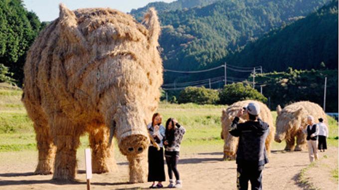 Babi Hutan Raksasa dari Jerami Padi Mencuri Perhatian Warga Jepang
