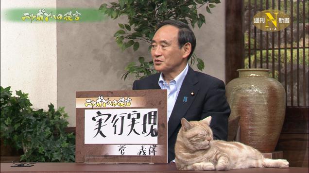 cat news japan (3)
