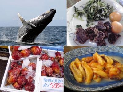 Wah, Ikan-Ikan Monster Ini Diubah Jadi Seafood Lezat di Jepang!