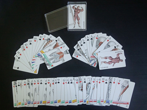 muscle cards (2)