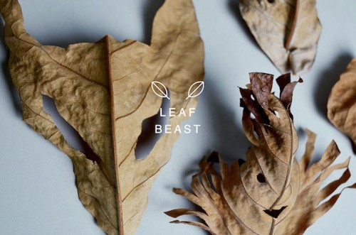 2b leaf-beast-magnolia-obovata-natural-art-baku-maeda-5