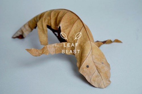 2c leaf-beast-magnolia-obovata-natural-art-baku-maeda-4