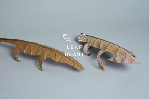 2h leaf-beast-magnolia-obovata-natural-art-baku-maeda-7
