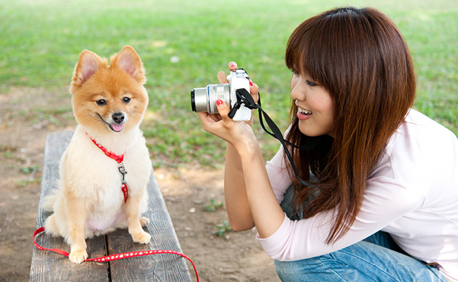Berlibur dengan anjing peliharaan menjadi tren yang berkembang di Jepang