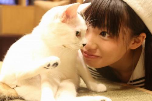 Cat Cafe MoCHA, tempat bersantai untuk para pecinta kucing di Ikebukuro!