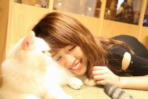 Cat Cafe MoCHA, tempat bersantai untuk para pecinta kucing di Ikebukuro!