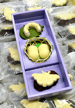 Cokelat ulat sutra, oleh-oleh yang populer dari situs Warisan Dunia di Jepang