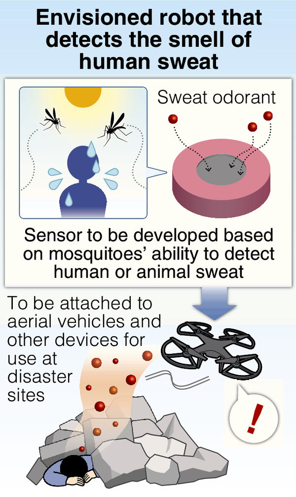 Peneliti Jepang akan mengembangkan robot penyelamat yang dapat mendeteksi bau tubuh manusia