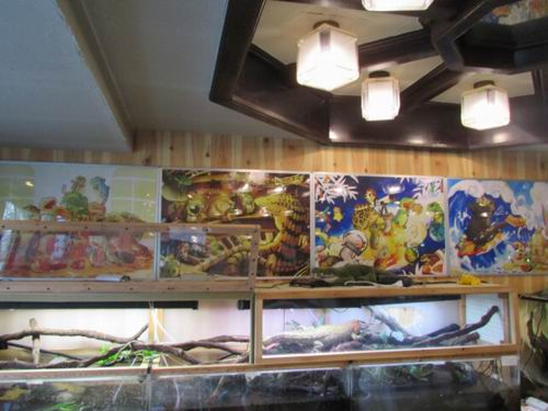 Bosan dengan kafe kucing Coba mampir ke kafe reptil di Jepang ini! (2)