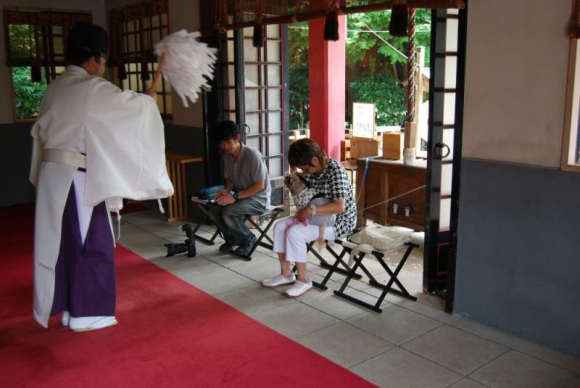 Kuil Shinto di Tokyo Ini Juga Memberkati Hewan Peliharaan para Pengunjungnya 1