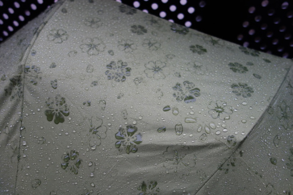 Motif 'Payung Ajaib' Produk Jepang Ini Hanya Terlihat Ketika Basah! 2c