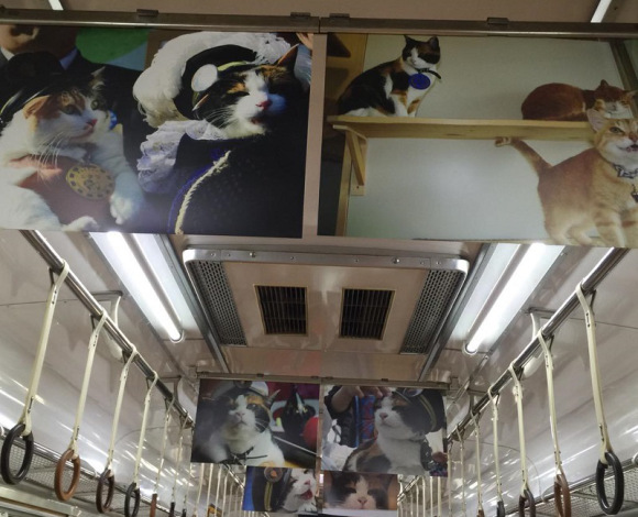 Foto-Foto Kepala Stasiun Tama Semasa Hidupnya Dipamerkan di Dalam Kereta
