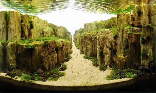 Keren! Ini bukan pemandangan alam, tapi isi dari akuarium di Tokyo! (7)