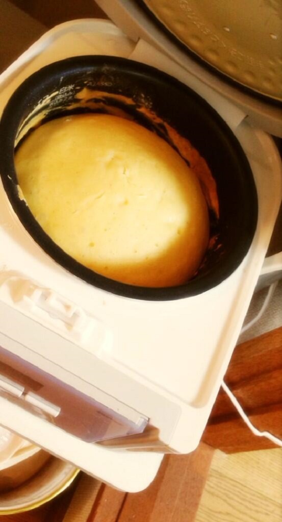 Pancake Rice Cooker 3