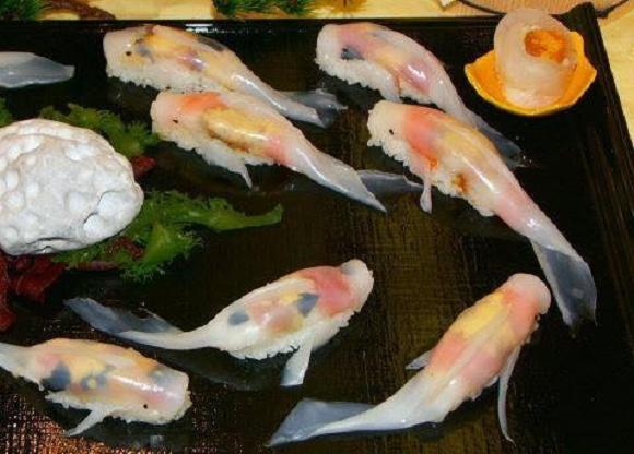 Nigiri Sushi Berbentuk Koi Ini Terlalu Cantik dan Berseni Untuk Dimakan